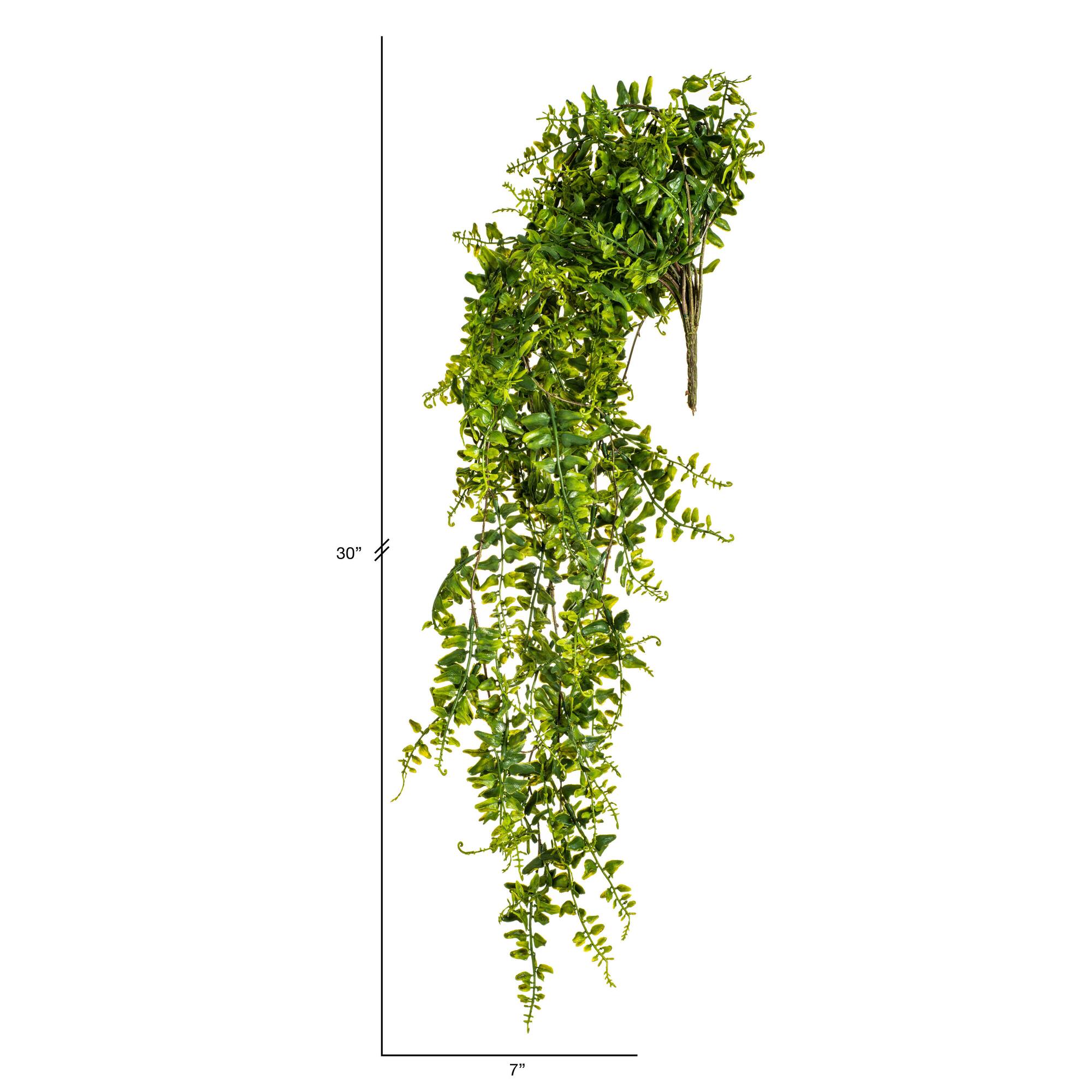 2.5ft. Green Buckler Fern Vine